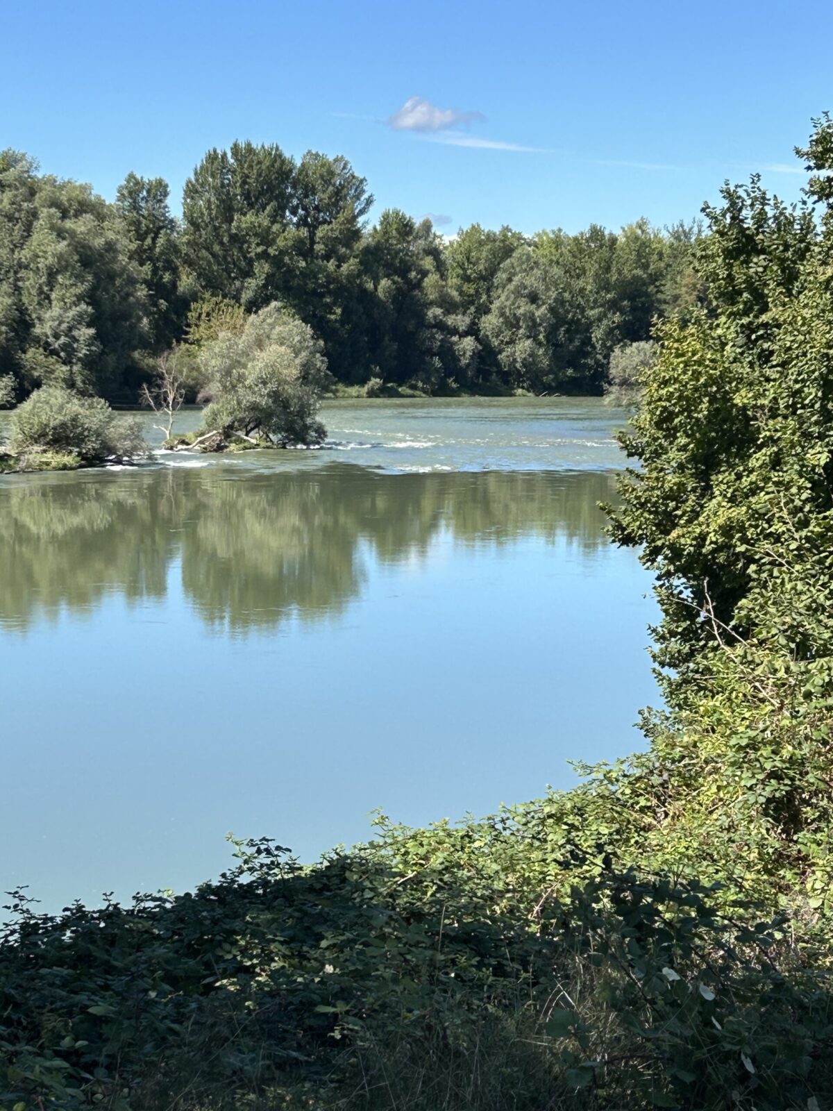Am Rhein, am Wasser