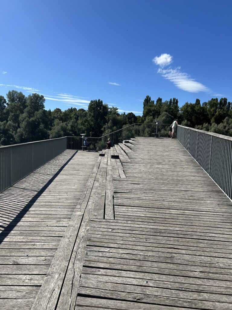 Aussichtsplattform bei Bad Bellingen
