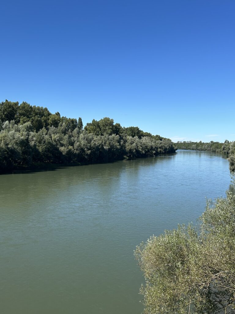 Den Rhein hinunter